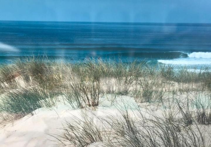 לאקאנו L'Ocean&Dunes Vue A 180° En Bord De Plage מראה חיצוני תמונה