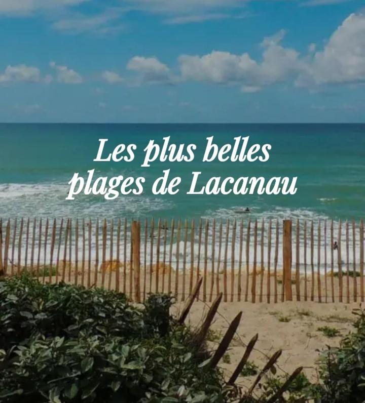לאקאנו L'Ocean&Dunes Vue A 180° En Bord De Plage מראה חיצוני תמונה