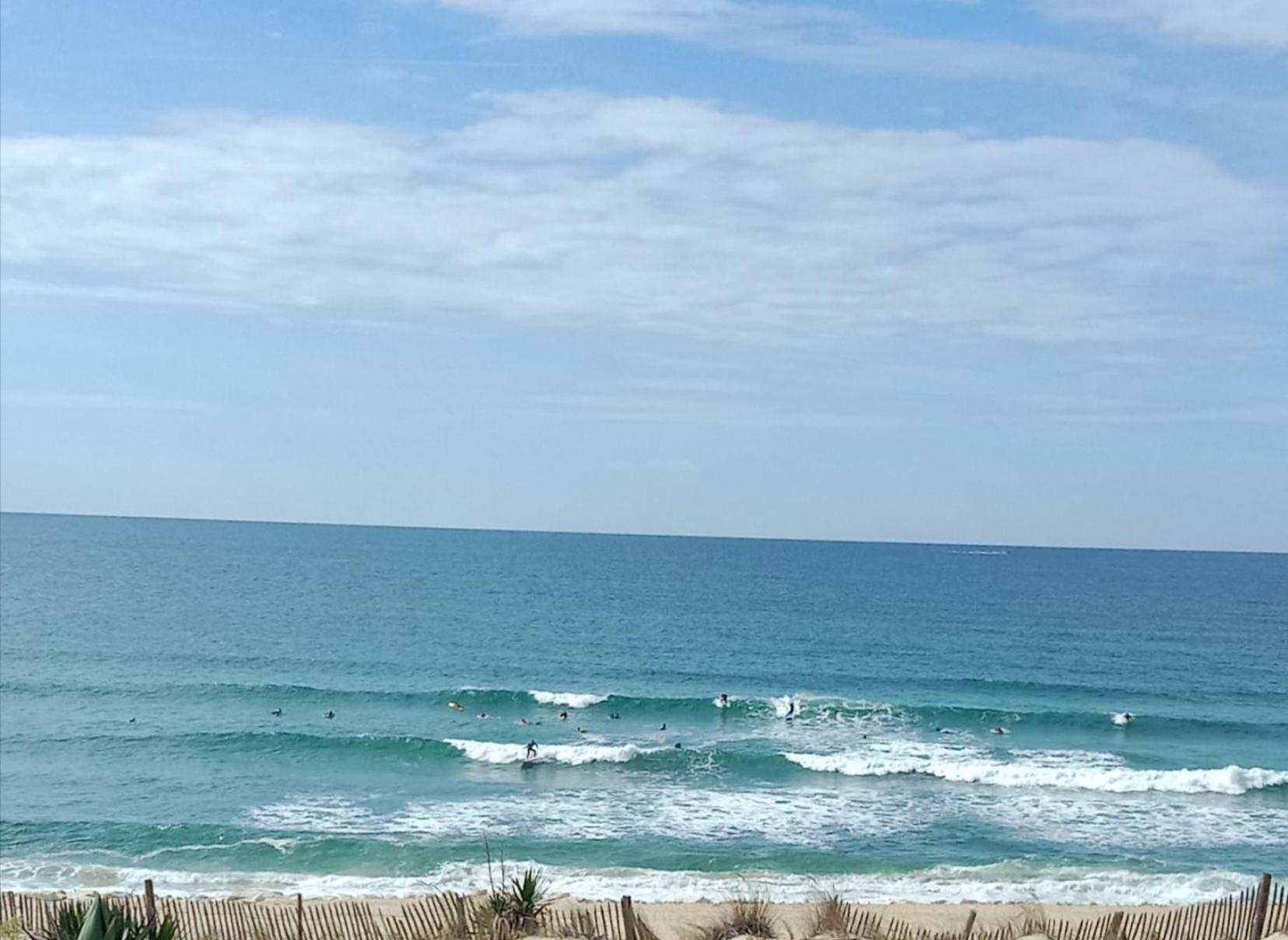 לאקאנו L'Ocean&Dunes Vue A 180° En Bord De Plage מראה חיצוני תמונה
